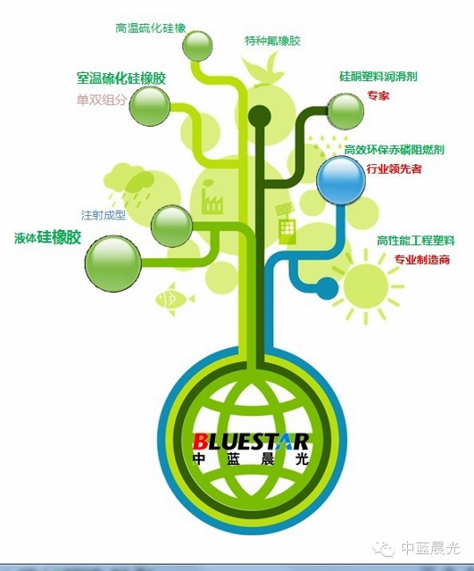 點擊查看大圖